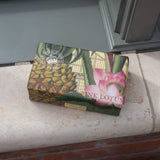 Kew Gardens Pineapple and Pink Lotus Soap 240g